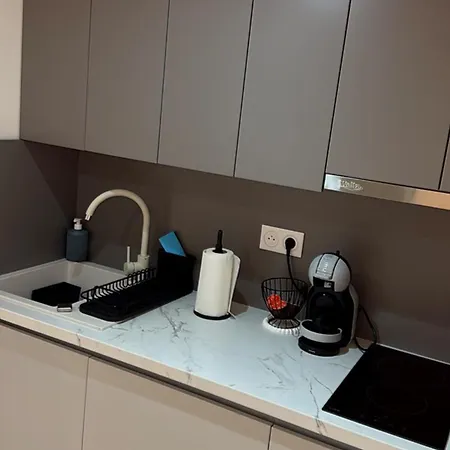 Apartment B&m Soko Banja