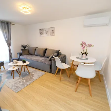 B&m Apartment Soko Banja